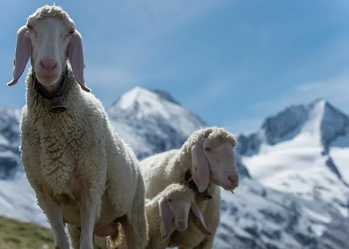 Ośrodek wypoczynkowy 4 Sterne Superior Muehle 1900 - Adults Only 4*