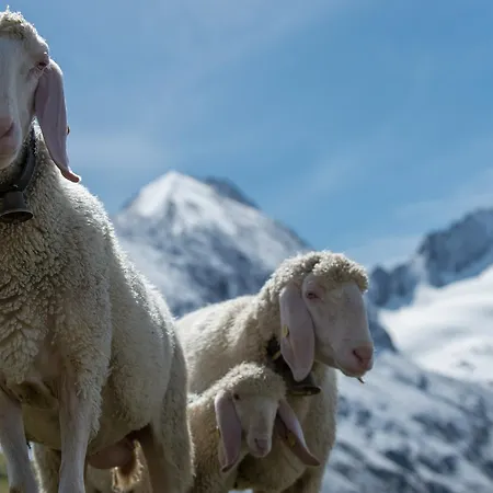 Station touristique 4 Sterne Superior Muehle 1900 - Adults Only 4*